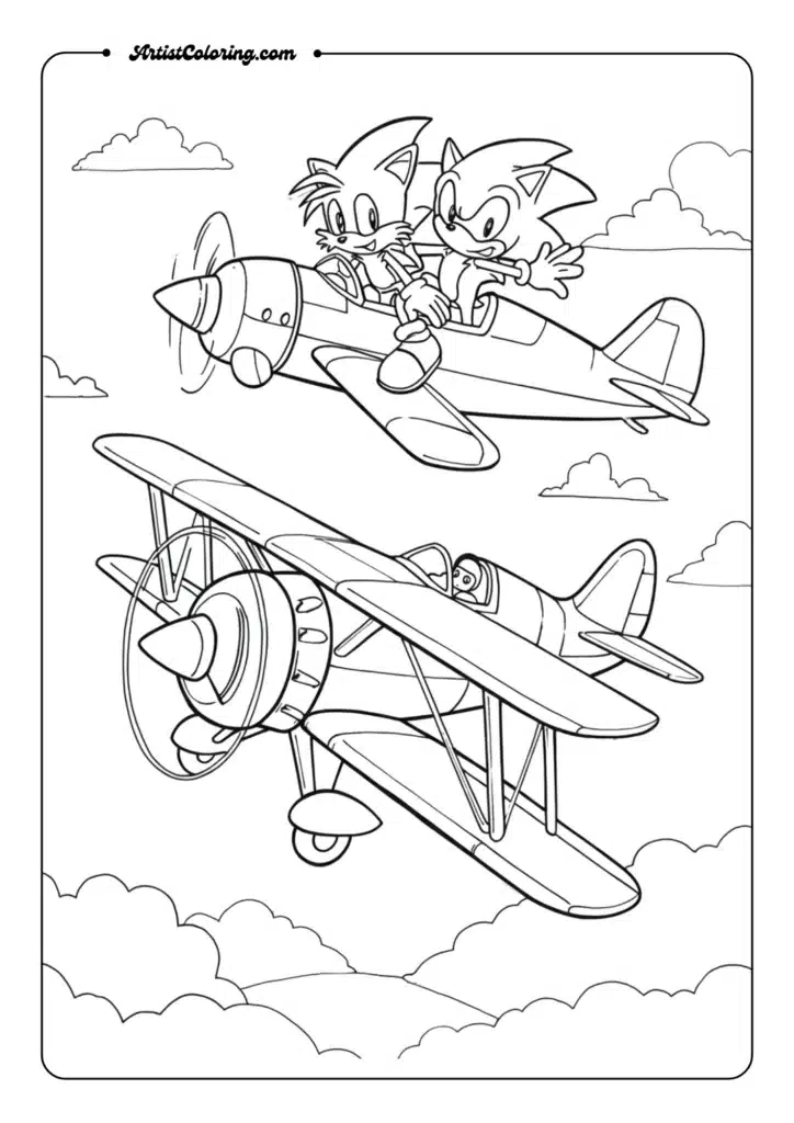 Sonic in Tornado Biplane